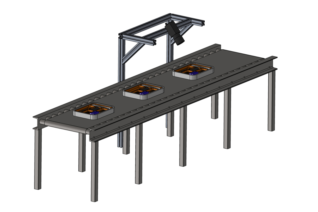 Logistic Conveyor with Inspection System